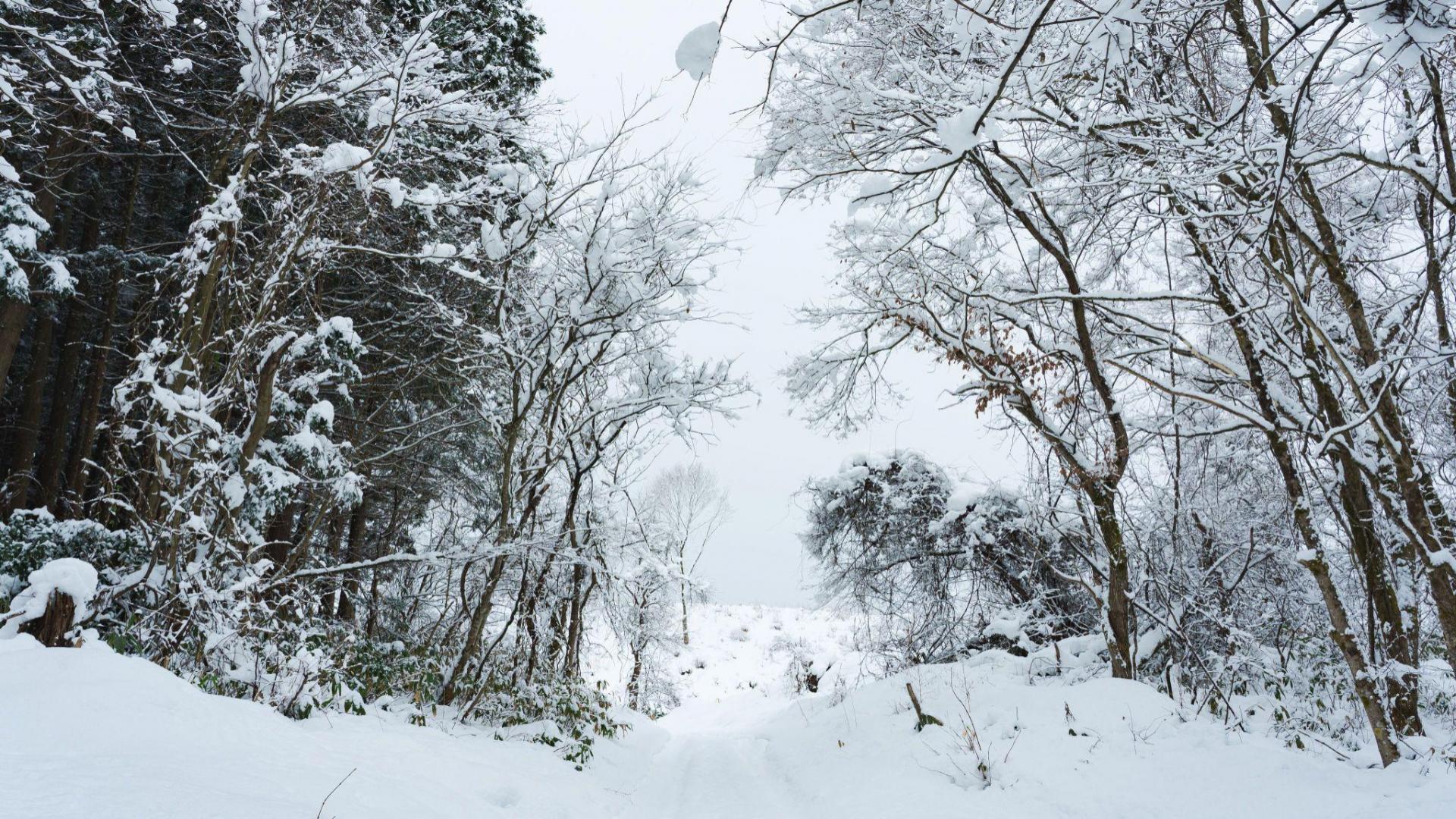 雪道